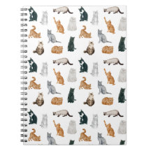 Portátil de gatos lúdicos