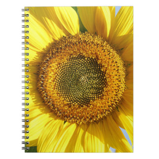 Cuaderno Portátil de girasol