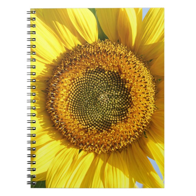Cuaderno Portátil de girasol (Frente)
