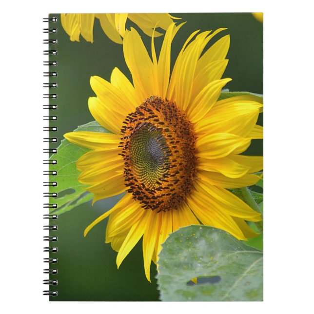 Cuaderno Portátil de girasol (Frente)
