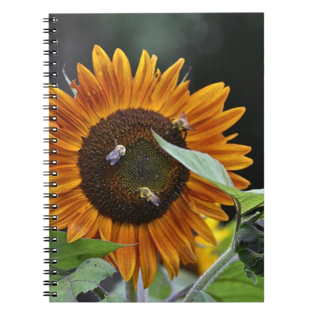 Cuaderno Portátil de girasol (Frente)