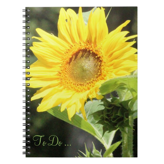 Cuaderno Portátil de girasol (Frente)