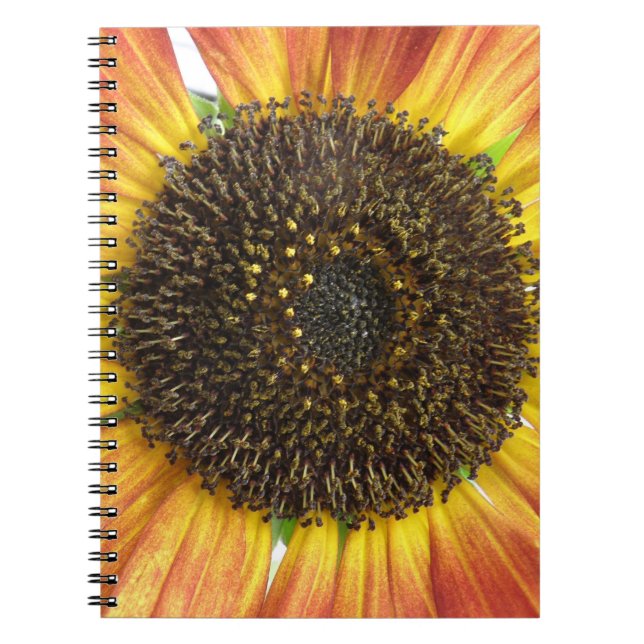 Cuaderno Portátil de girasol naranja (Frente)