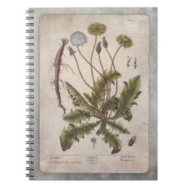 Cuaderno Portátil de Ilustracion botánico - Dandelion