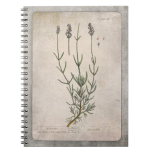 Cuaderno Portátil de Ilustracion botánico - Lavanda