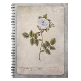 Cuaderno Portátil de Ilustracion botánico - Rosa blanca