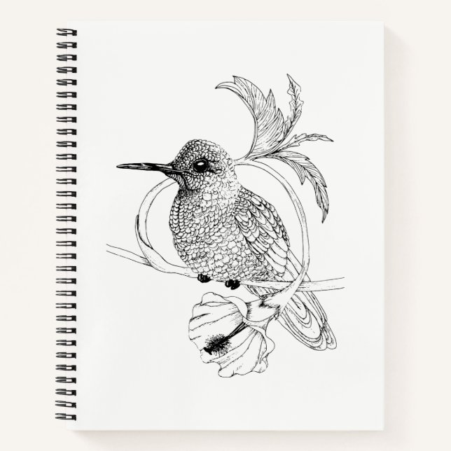 Cuaderno Portátil de Ilustracion para aves Colibri (Anverso)