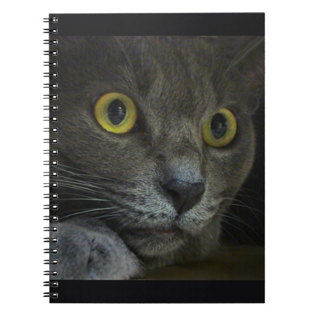 Cuaderno Portátil de intensidad (Frente)