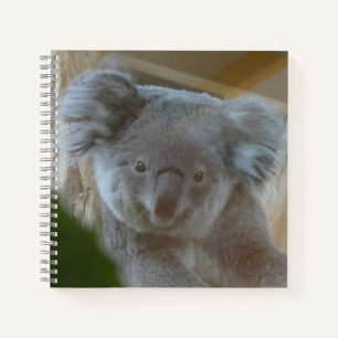 Cuaderno Portátil de Koala
