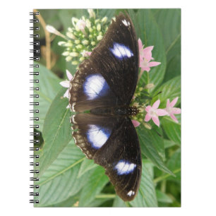 Cuaderno Portátil de mariposa con manchas azules