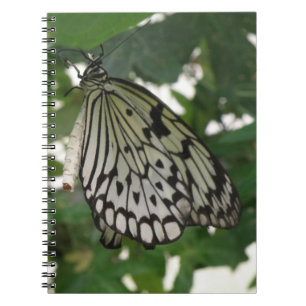 Cuaderno Portátil de mariposa de cometa de papel tropical