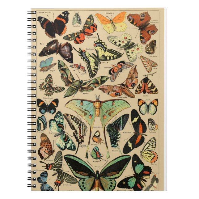 Cuaderno Portátil de mariposa/papilones de época (Frente)