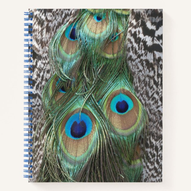 Cuaderno Portátil de patrón de plumas de pavo real (Anverso)