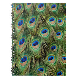 Cuaderno Portátil de pavo real