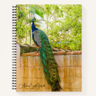 Cuaderno Portátil de pavo real 1
