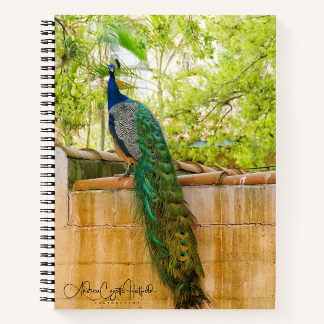 Cuaderno Portátil de pavo real 1 (Anverso)