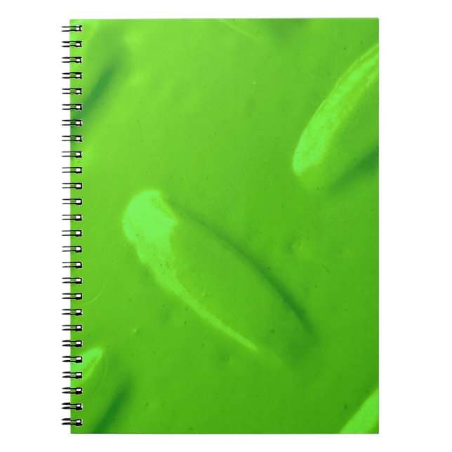 Cuaderno Portátil de placa de diamantes verde (Frente)