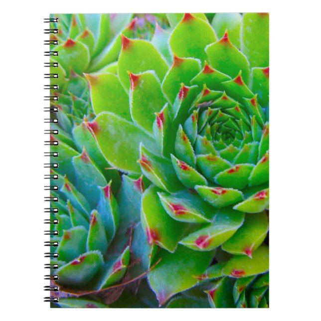 Cuaderno Portátil de planta verde (Frente)