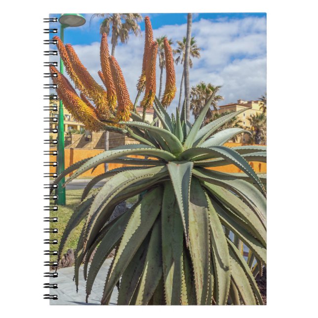 Cuaderno Portátil de plantas y flores de Aloe Vera (Frente)