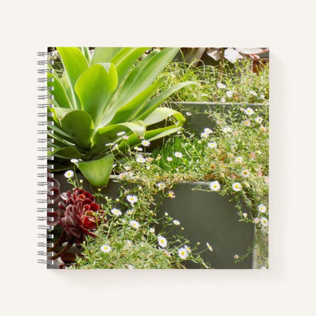 Cuaderno Portátil de Planters (Anverso)