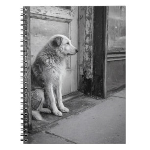 Cuaderno Portátil de puerta con Weathered de perro solitari