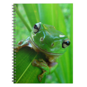 Cuaderno Portátil de rana de árbol verde