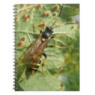 Cuaderno Portátil de sobrevuelo