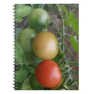Cuaderno Portátil de tomates ligeros de tráfico