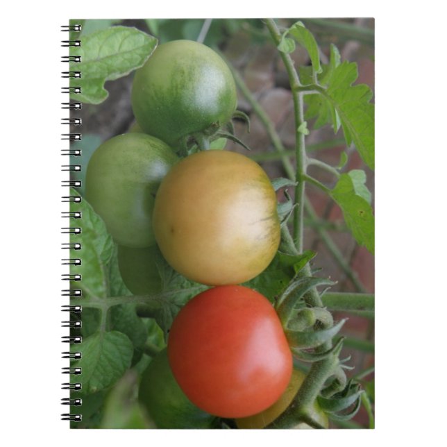 Cuaderno Portátil de tomates ligeros de tráfico (Frente)