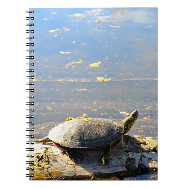 Cuaderno Portátil de tortuga (Frente)