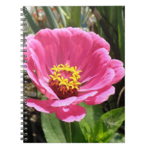 Cuaderno Portátil de zinnia rosa bonito
