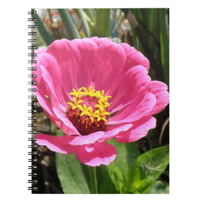 Cuaderno Portátil de zinnia rosa bonito (Frente)