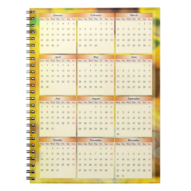Cuaderno Portátil del calendario 2013 (Frente)