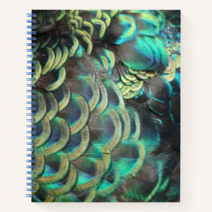 Cuaderno Portátil del patrón de plumas de pavo real indon