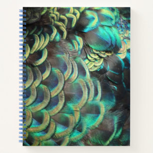 Cuaderno Portátil del patrón de plumas de pavo real indones