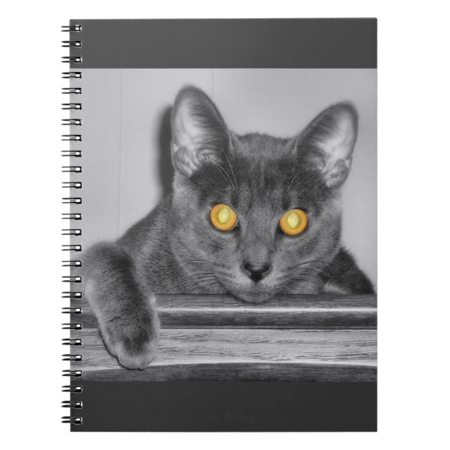 Cuaderno Portátil Dusky Gold (Frente)