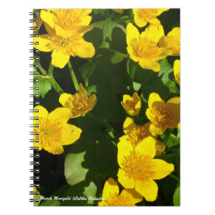 Cuaderno Portátil enlazado en espiral de 8 x 11"  Marigold