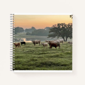 Cuaderno Portátil Espiral de Escena de País