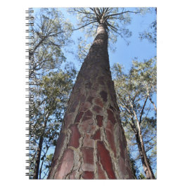 Cuaderno Portátil espiral de pino La Gerche Ponderosa