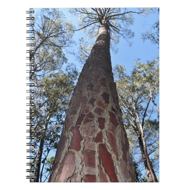 Cuaderno Portátil espiral de pino La Gerche Ponderosa (Frente)