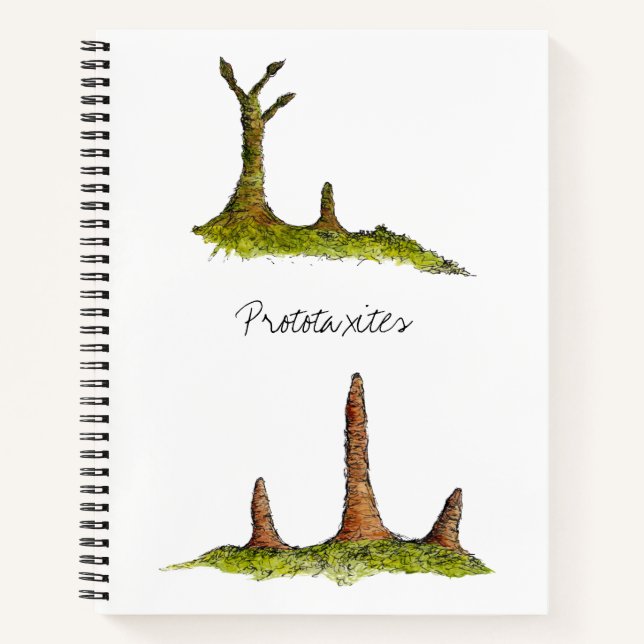 Cuaderno Portátil Espiral de prototaxitas (Anverso)