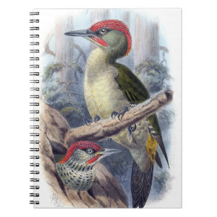 Cuaderno Portátil europeo de pájaros pájaros verdes