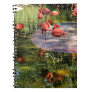 Cuaderno Portátil Flamingo