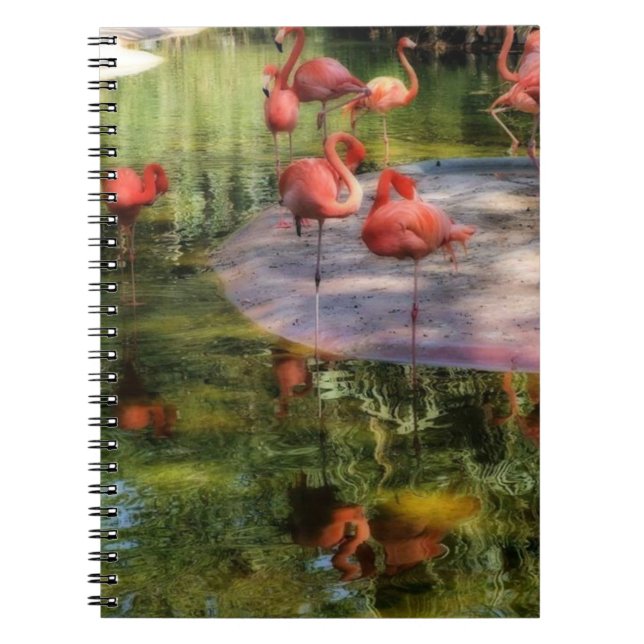 Cuaderno Portátil Flamingo (Frente)