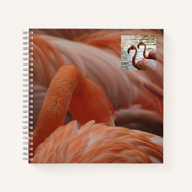 Cuaderno Portátil Flamingo Close Up (Anverso)
