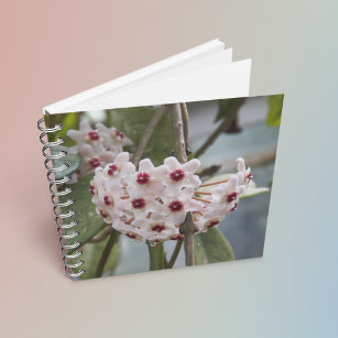 Cuaderno Portátil Floral de Hoya Plant Flowers