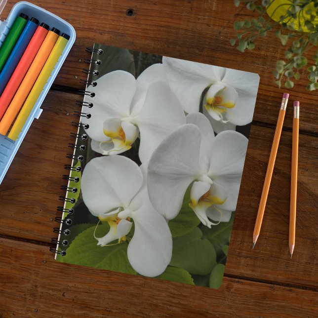 Cuaderno Portátil Floral Orquídea Blanca (In Situ)
