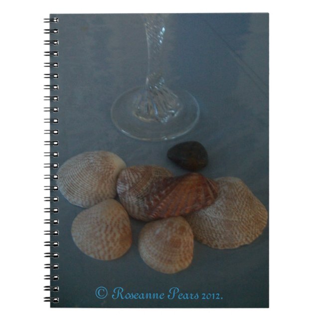 Cuaderno Portátil (Flute&Shells) RFPMDesigns ©️ 2012 (Frente)