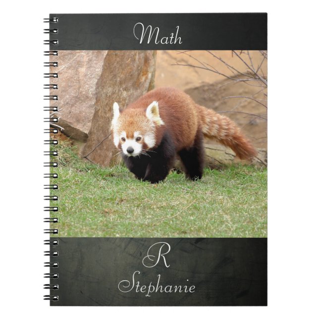 Cuaderno Portátil Foto panda roja , animales 0436. (Frente)