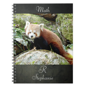 Cuaderno Portátil Foto panda roja , animales 0437.